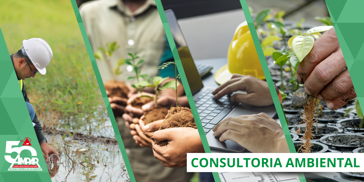 CONSULTORIA AMBIENTAL